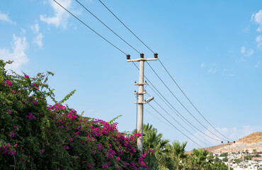 Obraz premium lamppost and cable background, front view
