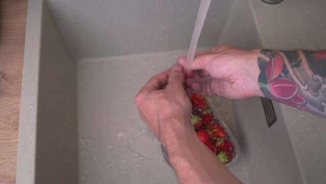 Male hands washing strawberries one by one under water in the sink