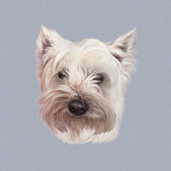 Lap dog. West Highland White Terrier dog isolated on gray background. Cute puppy. Hand drawn illustration of Pets. Animal art collection: Dogs. Good for print T-shirt, banner, cover, card