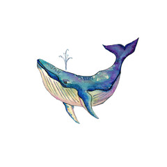 Watercolor hand drawn bright Whale illustrations isolated on white background.Underwater animals in dopamine disign.