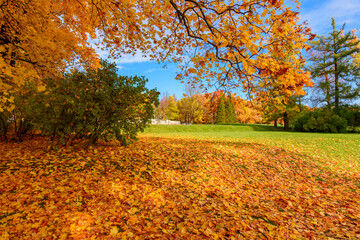 Autumn foliage in Catherine park, Pushkin (Tsarskoe Selo), Saint Petersburg, Russia
