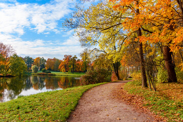 Autumn foliage in Catherine park, Pushkin (Tsarskoe Selo), Saint Petersburg, Russia