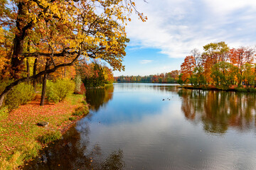 Autumn foliage and Grand pond in Catherine park, Pushkin (Tsarskoe Selo), Saint Petersburg, Russia
