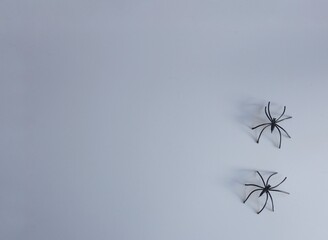 Two small artificial spiders with long legs on a gray background. Creative halloween concept backdrop. halloween craft.