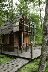Old wooden hut in beautiful tranquil forest