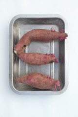 three purple sweet potatoes that have new shoots on an aluminum tray on a white background