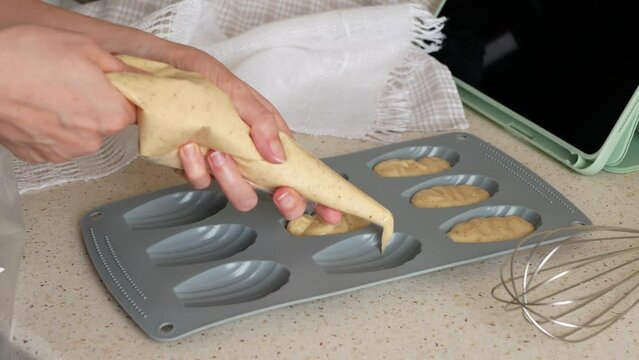 Person is filling the Madeleine mold with batter using pastry bag. Using silicone pan for making Madeleine cookies. Traditional French seashell cakes