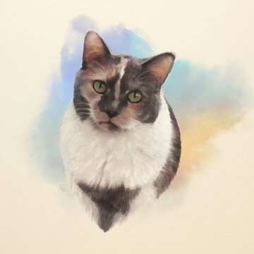 Cute cat. Watercolor portrait of a tricolor cat. Realistic drawing of a cat with green eyes executed in watercolor. Hand painted watercolor cat illustration. Art background, banner for pet shop.