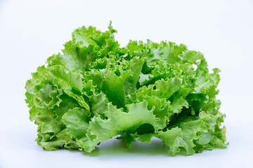 Bunch of lettuce on a white background.