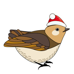Cute Christmas bird in red Christmas hat, coloring style isolated on white background, vector sign.