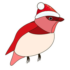 Cute Christmas bird in red Christmas hat, coloring style isolated on white background, vector sign.