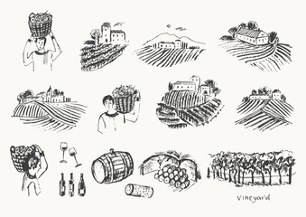 Hand drawn vineyard sketch. Grape plants fields landscape illustration. - obrazy, fototapety, plakaty
