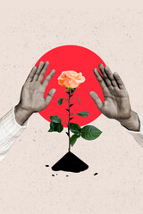 3d retro abstract creative artwork template collage of arms tacking care flower blossom isolated painting background