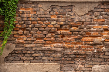 Particolare di muro in mattoni rovinati a vista con pianta rampicante