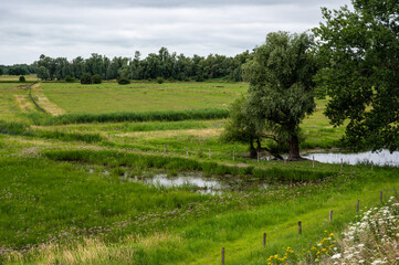 Fototapeta na wymiar View over the natural floodplain with agriculture field and wetland around Ochten
