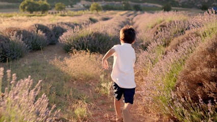 Fototapeta na wymiar Rear view of happy kid is running through lavender fields 