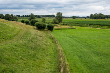 Fototapeta na wymiar Green agriculture fields at the Dutch countryside around Tiel