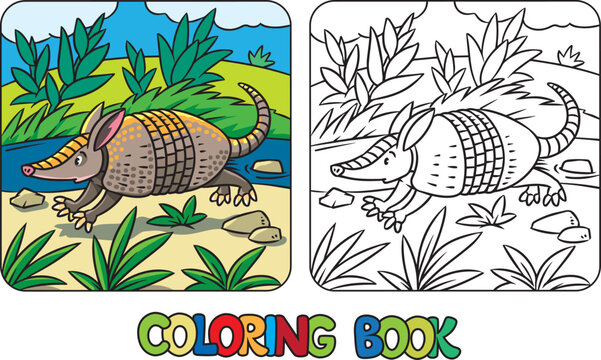Funny running armadillo Kids animals coloring book