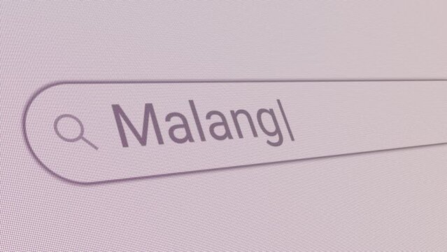 Search Bar Malang 
Close Up Single Line Typing Text Box Layout Web Database Browser Engine Concept