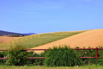 Fototapeta na wymiar panorama of the Tuscan hills near Lajatico Italy