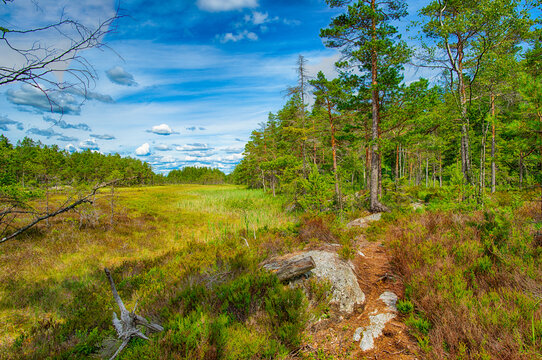 Wanderparadies Haldenkanalen - Honningen bei Schweden