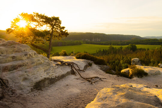 Sonnenaufgang auf dem Gamrig