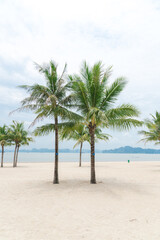 Fototapeta na wymiar Twin palm trees on beautiful white sandy beach with row of limestone mountains in horizon background along the Ha Long Bay, Quang Ninh, Vietnam