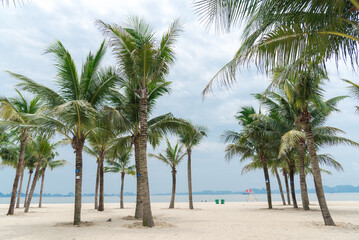 Fototapeta na wymiar White sand beaches, palm trees and surrounding limestone mountains in horizon at tropical vacation in Ha Long Bay, Quang Ninh, Vietnam