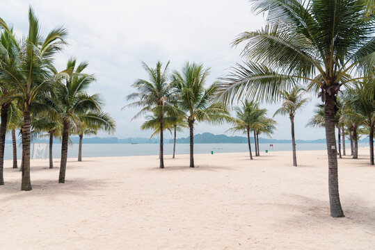 Beautiful wedding decorations along sandy beach with palm trees and mountains background in Ha Long Bay, Quang Ninh, Vietnam
