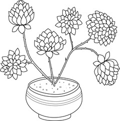 Vector illustration. Isolated line drawing of succulents . Image of a coloring book page for children with a picture of a succulent. Succulent, cactus, child, doodle.