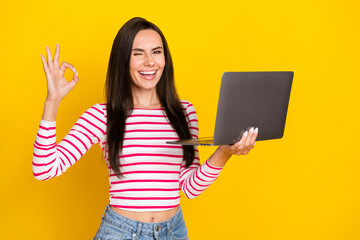 Photo of young attractive cute perfect nice lady programmer hold laptop showing okey sign work done blink isolated on yellow color background