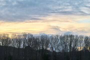 silhouettes of tree branches and clouds at sunset. 