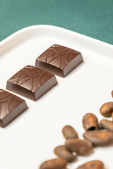 Handmade bitter chocolates on white plate with cocoa beans on green background.