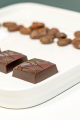 Handmade bitter chocolates on white plate with cocoa beans on green background.