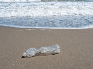 Plastikflasche am Strand Plastikmüll