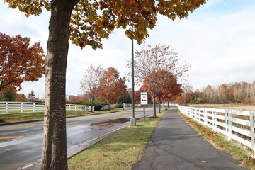 Fall in New Albany, Ohio 