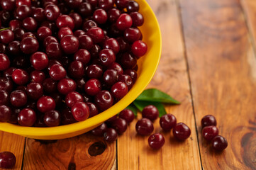 Cherries in a plate on the table, close-up shot