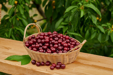 cherries in a basket on the table