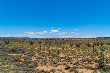 Fototapeta na wymiar Panoramic shot the desert of Canoncito in New Mexico, USA