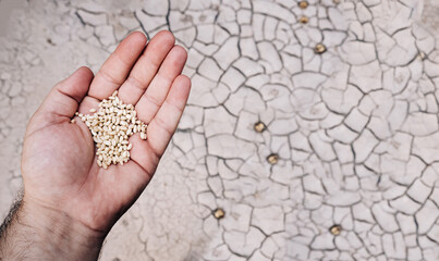 combating drought and famine. A man with a handful of grain left in a dehydrated land. the last...