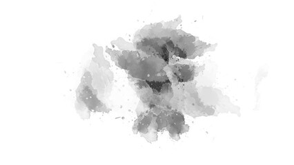 ink splatter ink slow motion transition reveal effect animation. watercolor black ink splatter compositing. Abstract ink brush stroke, fluid art background, overlay, alpha matte composition. - Powered by Adobe