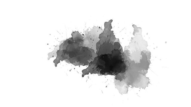 Black inks drop on white background. Watercolor black ink splatter compositing. Abstract ink splatter transition. ink brush stroke, fluid art background, overlay, alpha matte composition.