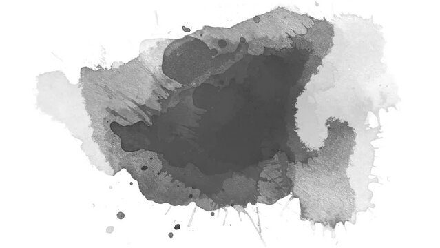Black color inks drop on white background. watercolor black ink splatter compositing. Abstract ink splatter transition. ink brush stroke, fluid art background, overlay, alpha matte composition.