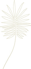 palm leaf illustration