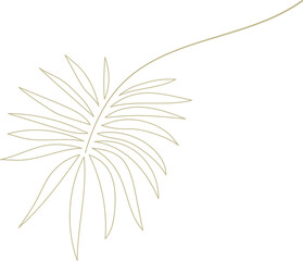 Fototapeta na wymiar palm leaf illustration