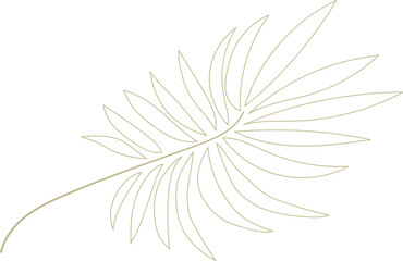 palm leaf illustration