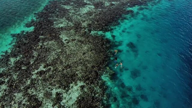 Aerial view drone shot catamaran and people swimming near Great Blue Hole riff. High quality FullHD footage