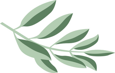 Olive Leaf Illustrator