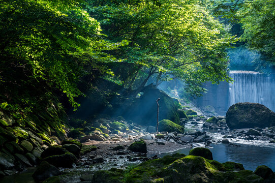 神秘的images Browse 39 566 Stock Photos Vectors And Video Adobe Stock