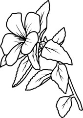 Flower Element Line Art

